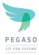 Pegaso Portal Development