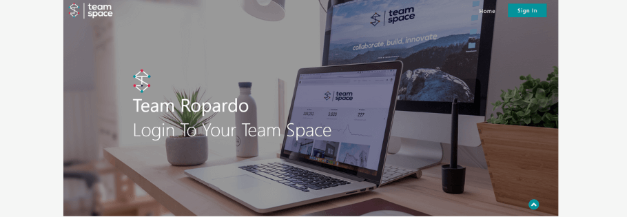 TeamSpace Collaborative Tool