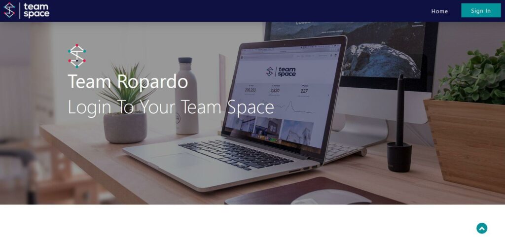TeamSpace collaborative tool
